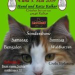 World Cat Show Kalkar am 04 - 05.05.2019