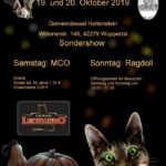 Internationale Katzenausstellung Halloweenausstellung