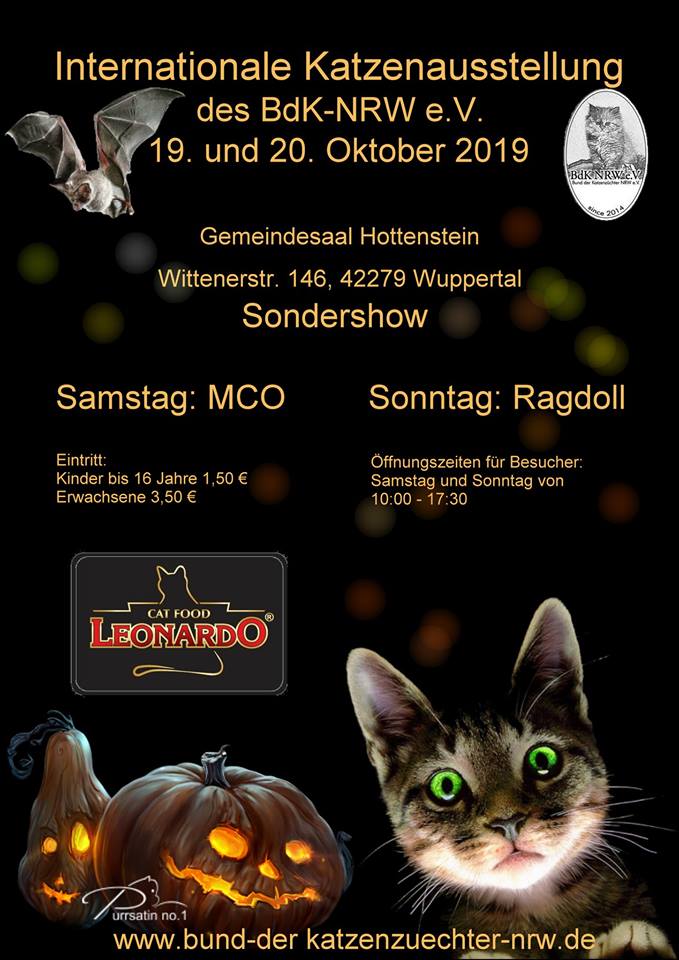 Internationale Katzenausstellung Halloweenausstellung