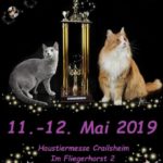 Internationale Katzenausstellung „Haustiermesse Crailsheim“
