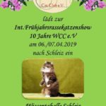 Int. Frühjahrsrassekatzenshow 10 Jahre WCC e.V.