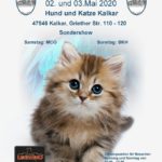 World Cat Show 2020 - VERSCHOBEN!