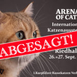 ARENA OF CATS - ABGESAGT!
