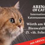 ARENA OF CATS