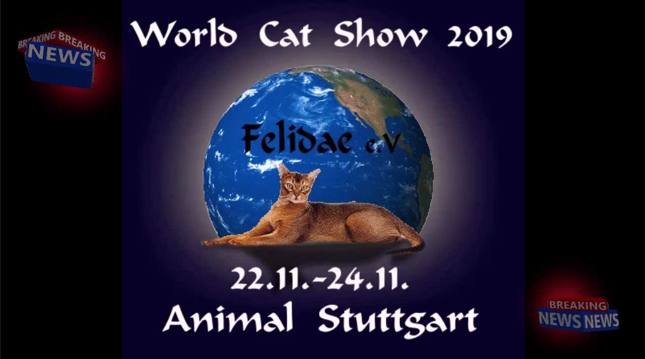 Internationale Katzenausstellung - Animal Stuttgart