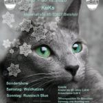 Internationale Katzenausstellung des BDK-NRW e.V.