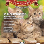 Int.Katzenausstellung des Delicat e.V. In Neumünster