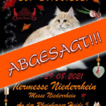 Internationale Katzenausstellung des CPC / Tiermesse Niederrhein - ABGESAGT!
