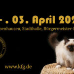 WORLD OF CATS - DIE internationale Katzenausstellung