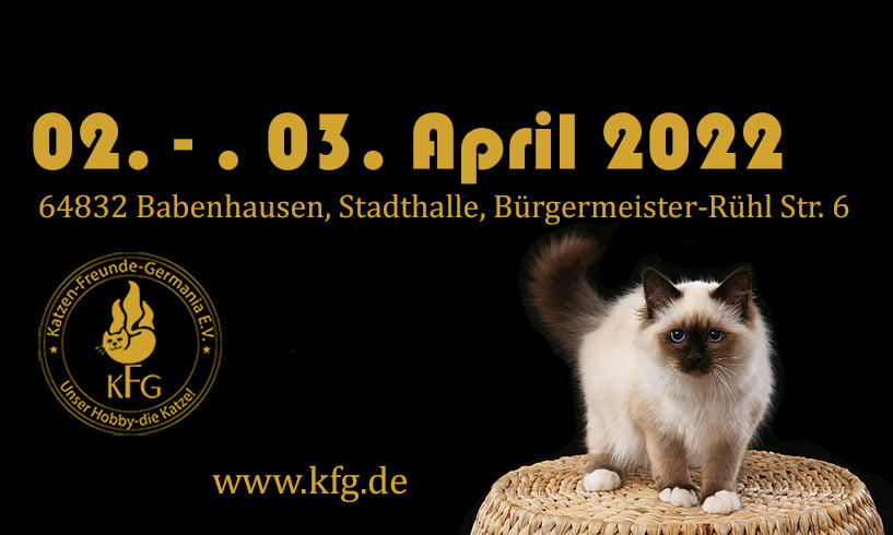 WORLD OF CATS - DIE internationale Katzenausstellung