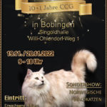 Intern. Katzenausstellung des CCG in Bobingen