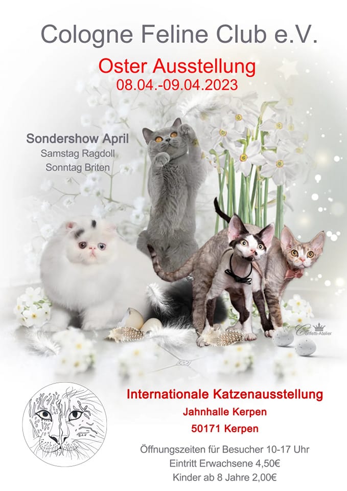 Internationale Katzenausstellung Kerpen
