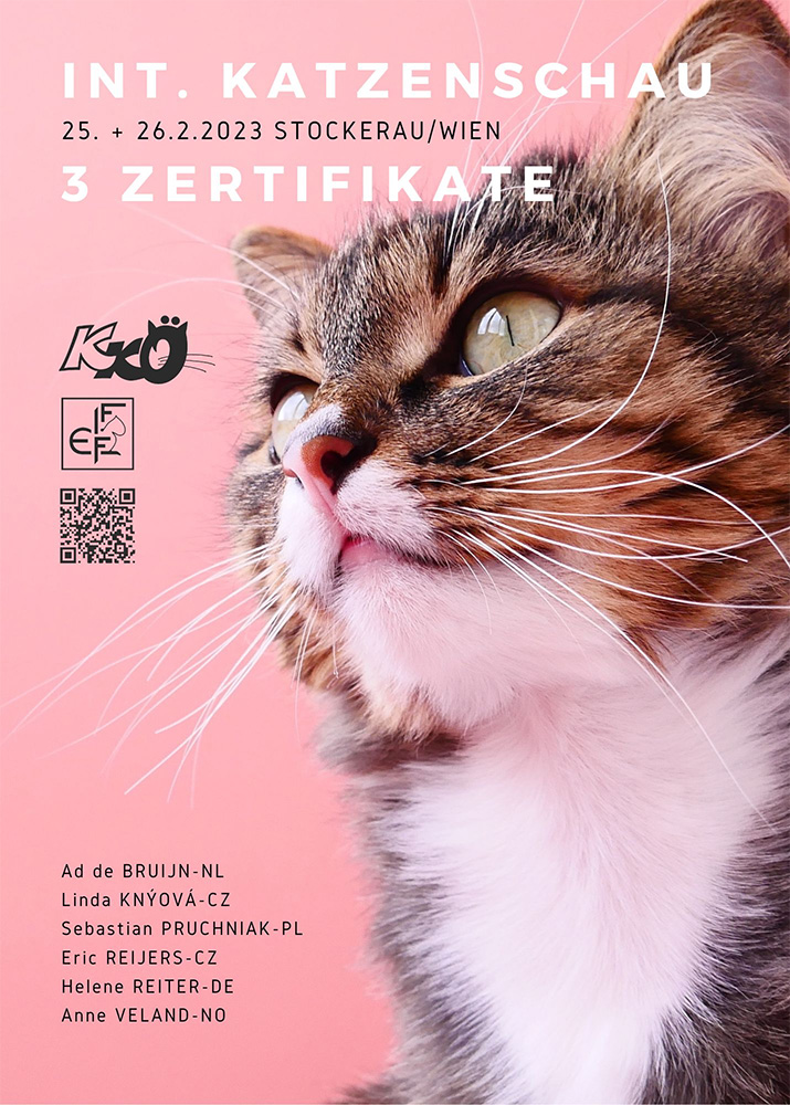 Katzenausstellung: Klub der Katzenfreunde Österreichs