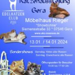 Internationale Katzenausstellung Edelkatzenclub Zwickau-Meerane e.V.