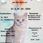 BdK e.V. Internationale Katzenausstellung Bornheim