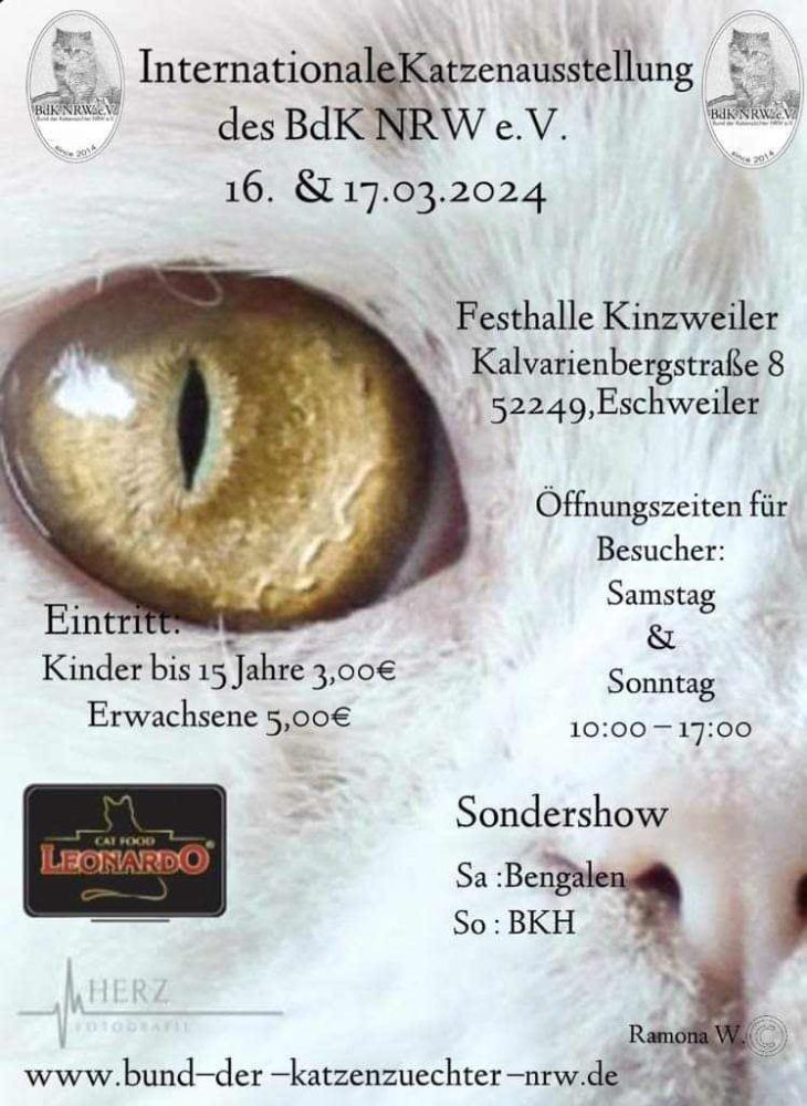 BdK e.V. Internationale Katzenausstellung Eschweiler