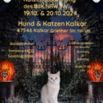 BdK e.V. Internationale Katzenausstellung Kalkar