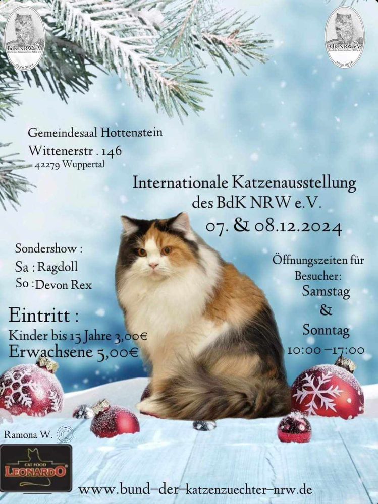 BdK e.V. Internationale Katzenausstellung Wuppertal