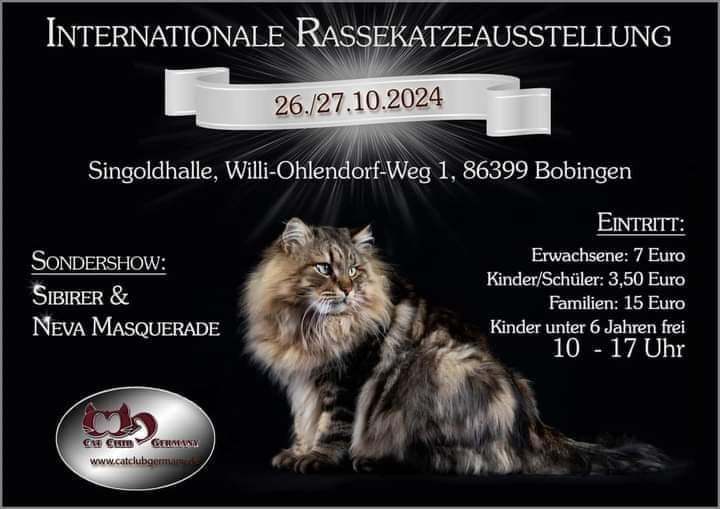 CCG e.V. Internationale Katzenausstellung Bobingen