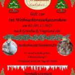 WCC e.V. Internationale Weihnachtsrassekatzenshow Grünbach/ Vogtland