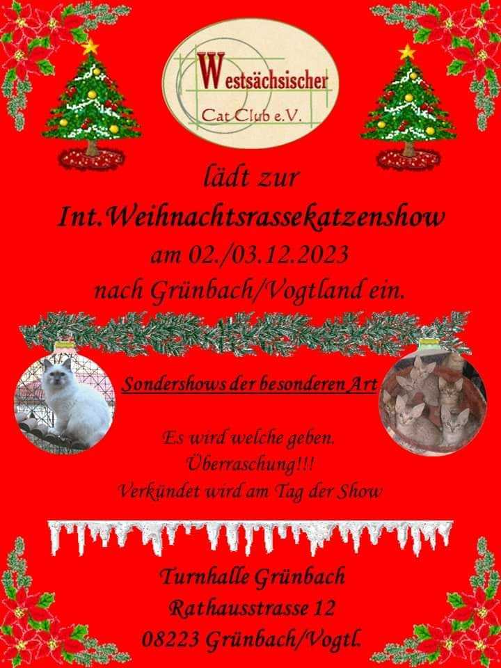 WCC e.V. Internationale Weihnachtsrassekatzenshow Grünbach/ Vogtland
