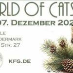 KFG e.V. Internationale Katzenausstellung Rödermark