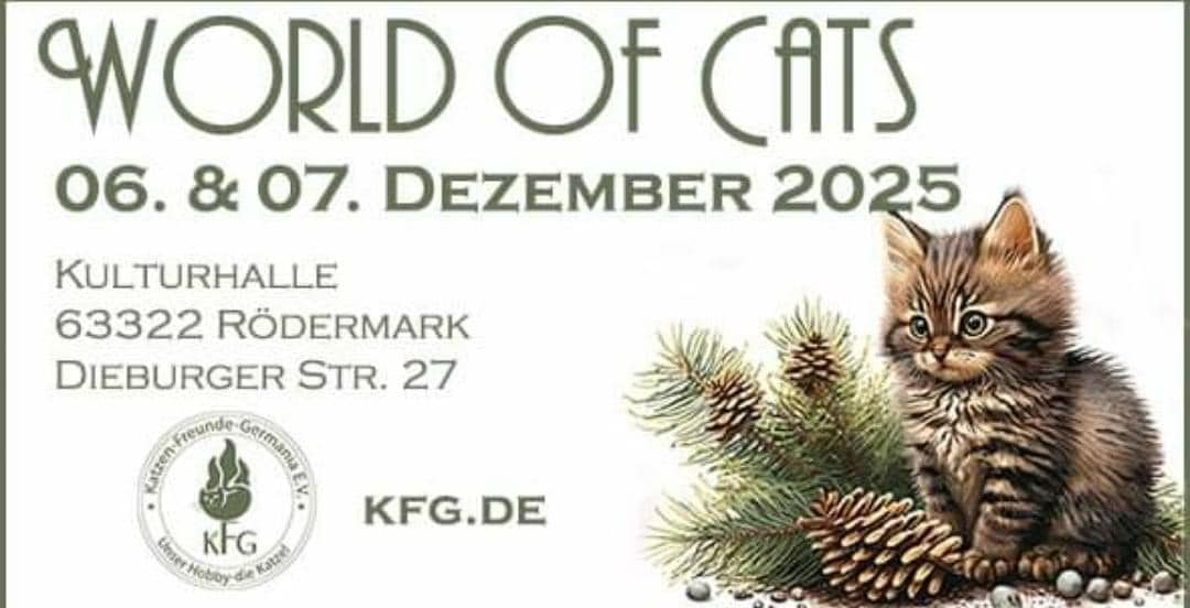 KFG e.V. Internationale Katzenausstellung Rödermark