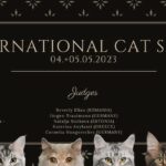 Internationale WCF Katzenausstellung