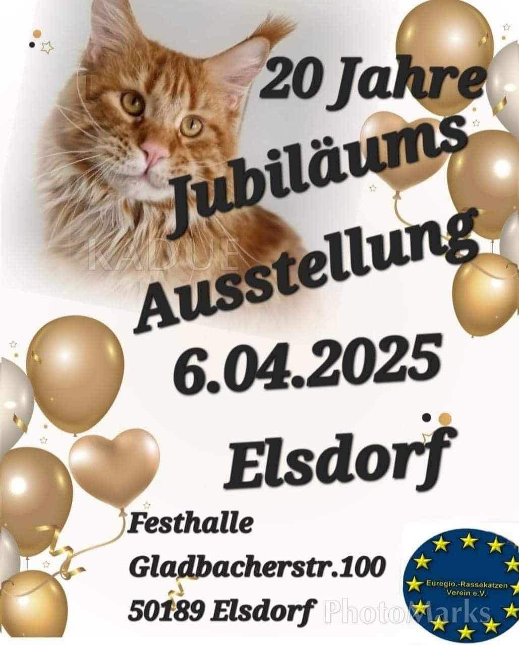 20 Jahre Jubiläumsausstellung in Elsdorf