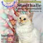 Internationale Katzenaussellung