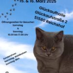 Internationale Katzenausstellung des BDK NRW e.V.