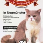 Int. Katzenausstellung