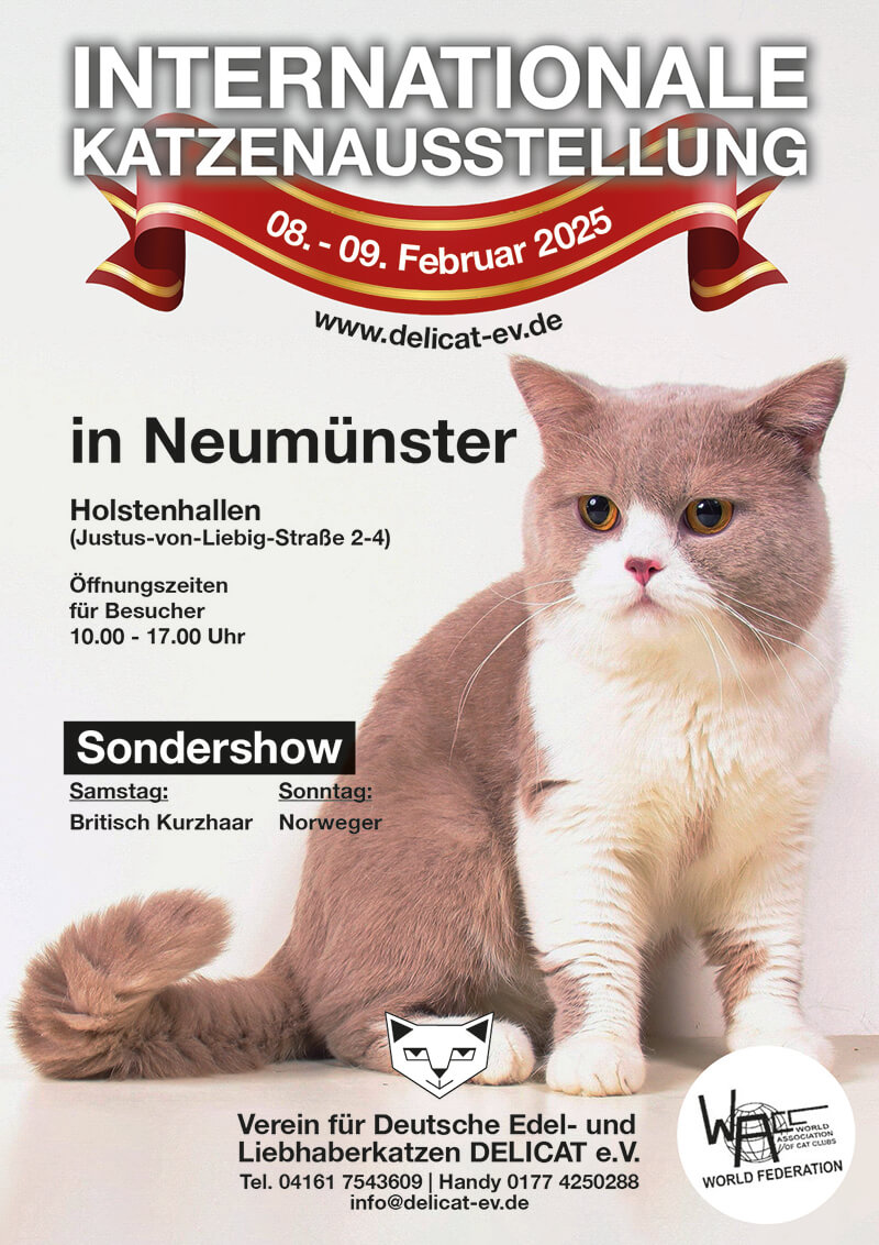 Int. Katzenausstellung