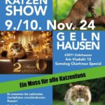 Rassekatzenshow Gelnhausen