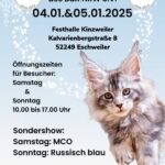 Internationale Katzenausstellung des BDK NRW e.V.