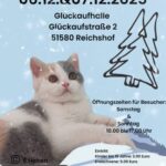 Internationale Katzenausstellung des BdK NRW e.V.