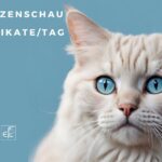 Internationale Katzenausstellung Hallein vom KKÖ e.V.