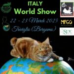 Italy World Cat Show