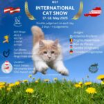 Internationale WCF Katzenausstellung
